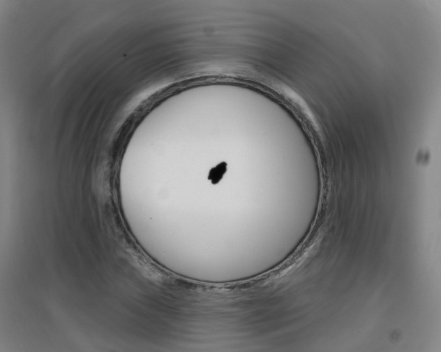 X0000094461019200711081054