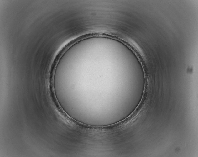 X0000094461020200711081054