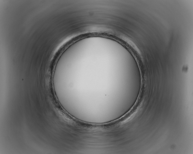 X0000094461021200711081054