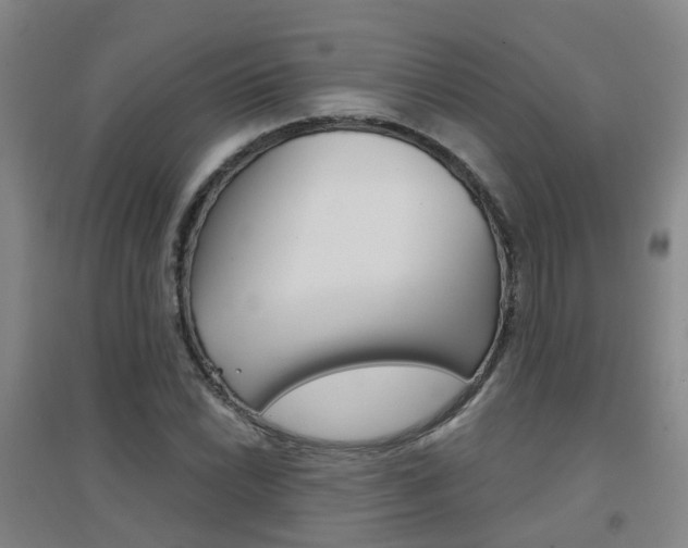 X0000094461022200711081054