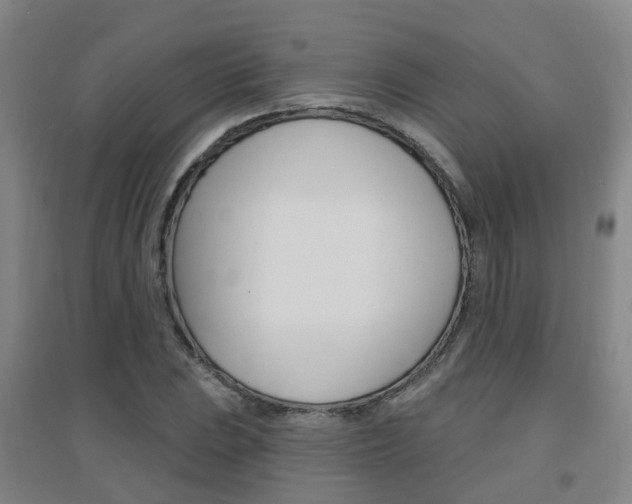 X0000094461023200711081054