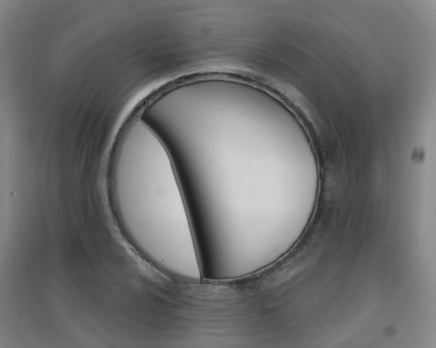 X0000094461024200711081054
