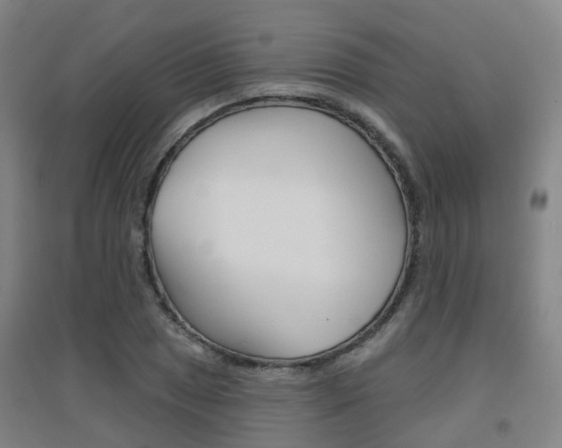 X0000094461025200711081054