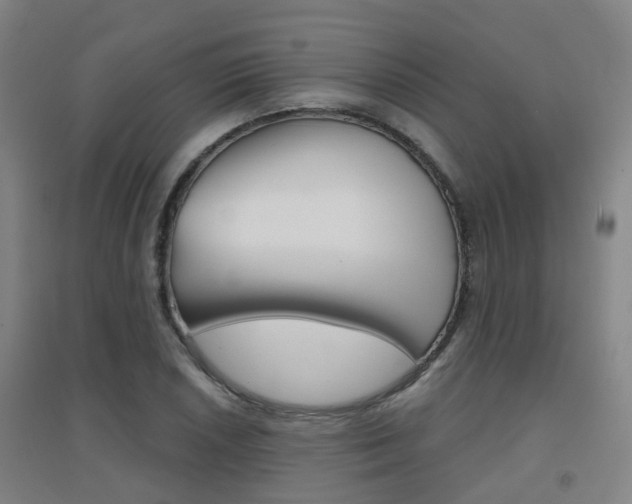 X0000094461026200711081054
