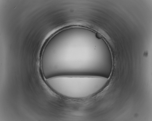 X0000094461028200711081054