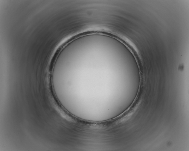 X0000094461029200711081054