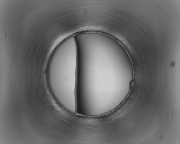 X0000094461030200711081054