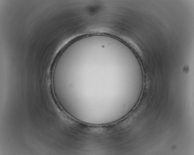X0000094461031200711081054
