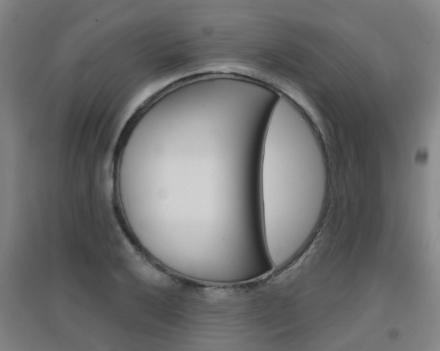 X0000094461032200711081054
