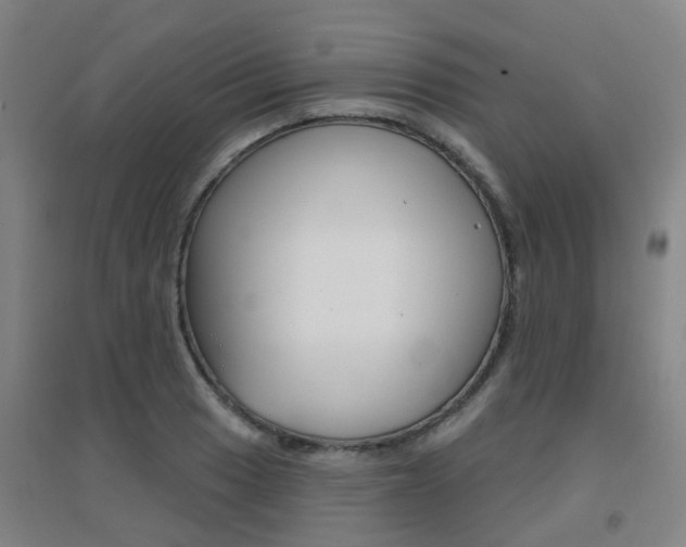 X0000094461033200711081054