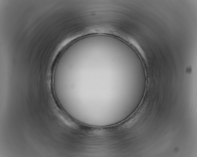X0000094461035200711081054