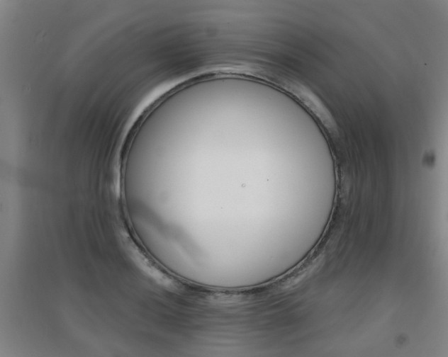 X0000094461036200711081054
