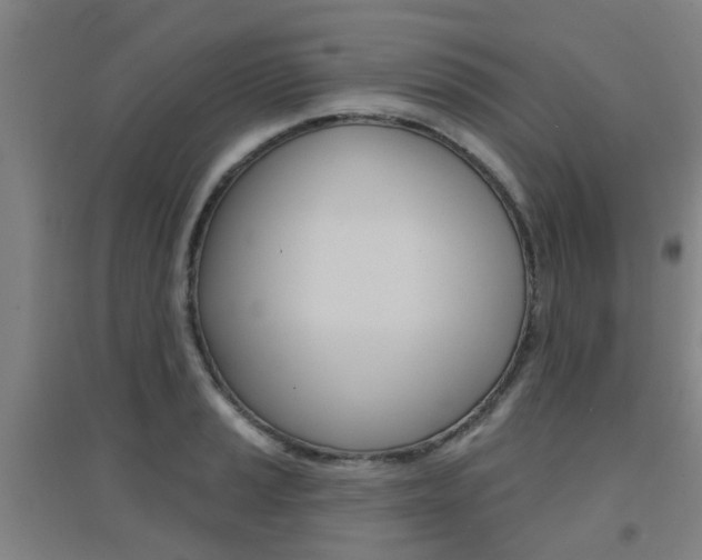 X0000094461037200711081054