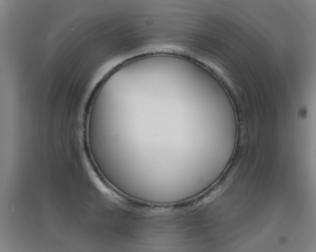 X0000094461038200711081054