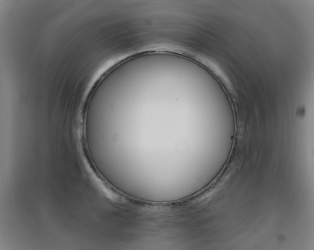 X0000094461040200711081054