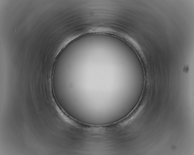 X0000094461041200711081054