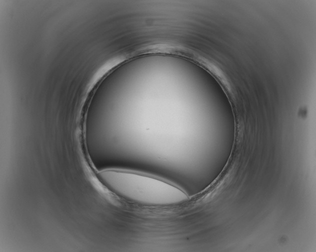 X0000094461042200711081054