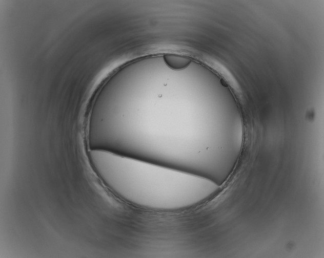 X0000094461043200711081054