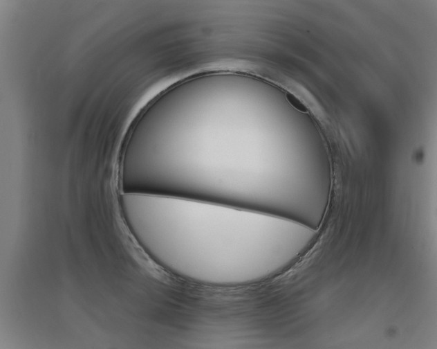X0000094461044200711081054