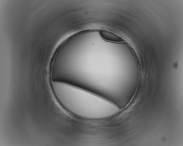 X0000094461045200711081054