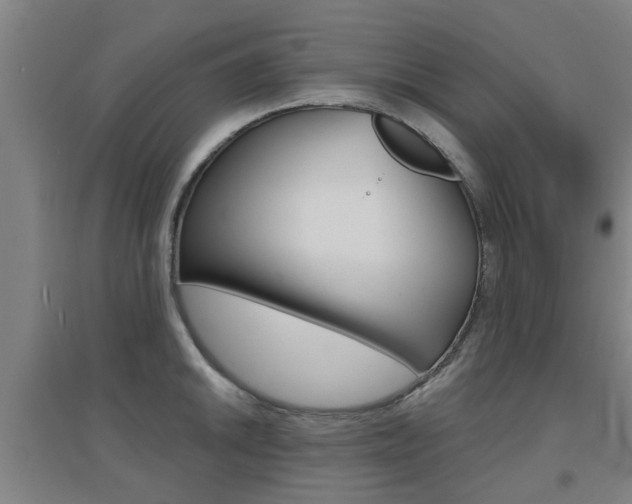 X0000094461046200711081054