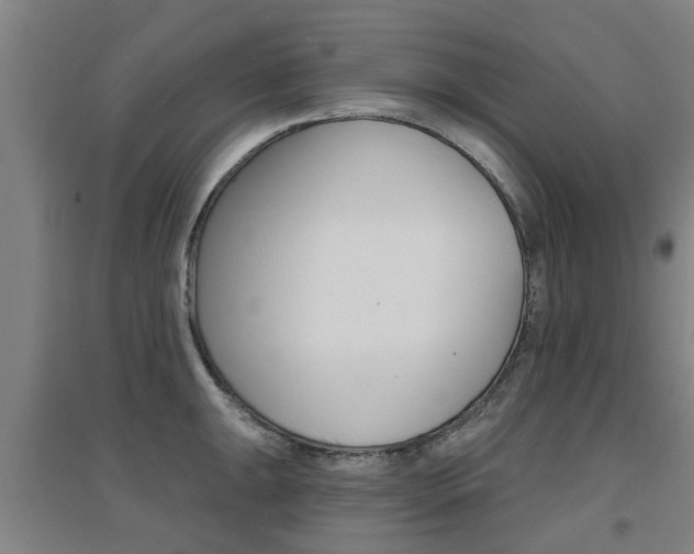 X0000094461047200711081054