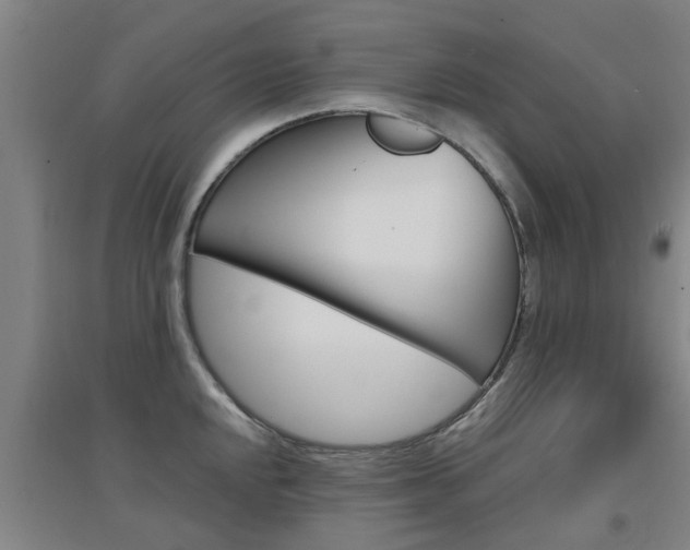 X0000094461048200711081054