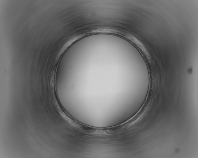X0000094461049200711081054