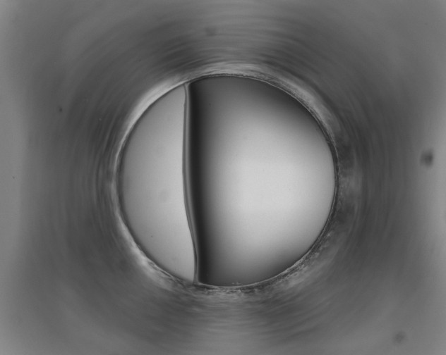 X0000094461050200711081054