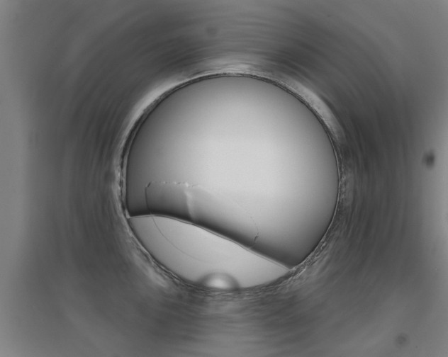 X0000094461051200711081054
