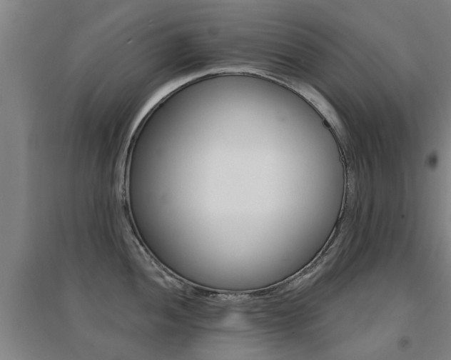 X0000094461052200711081054