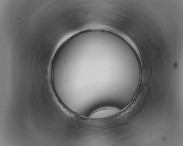 X0000094461053200711081054