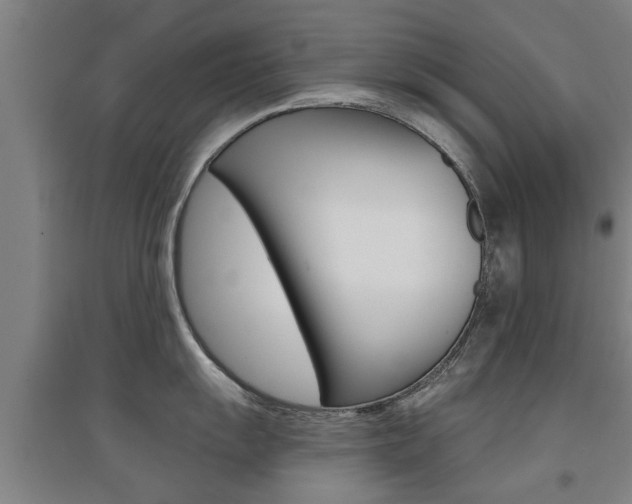 X0000094461055200711081054