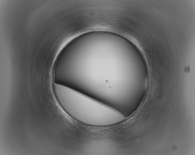 X0000094461056200711081054