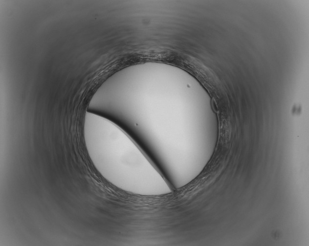 X0000094461058200711081054