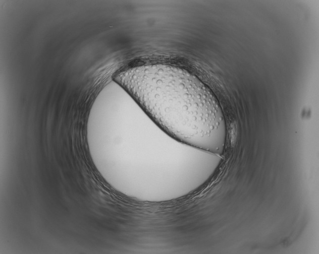 X0000094461059200711081054