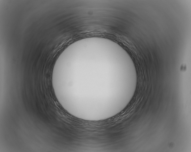 X0000094461060200711081054