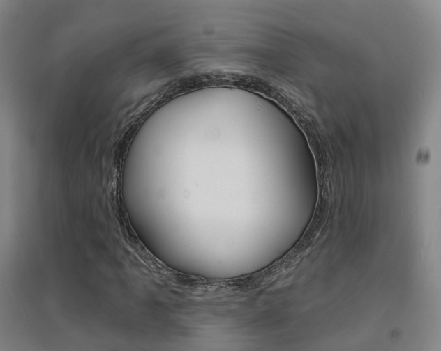 X0000094461061200711081054