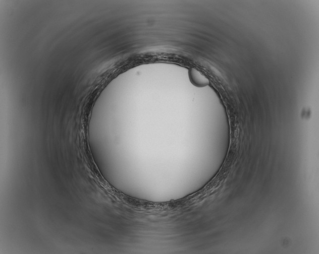 X0000094461062200711081054