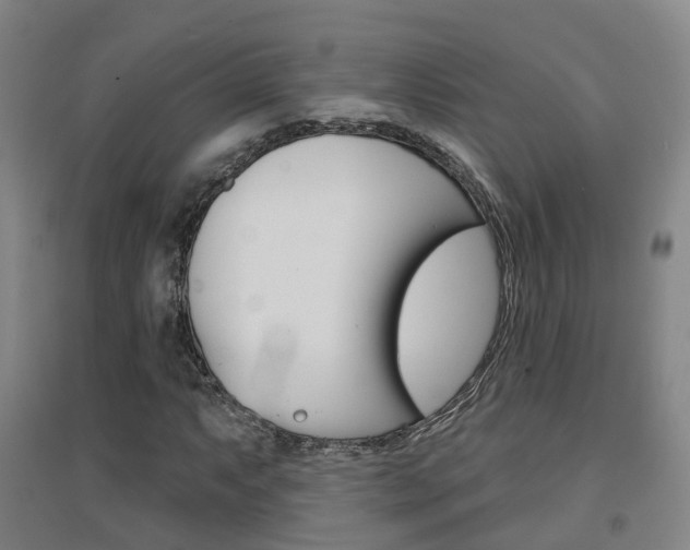 X0000094461063200711081054