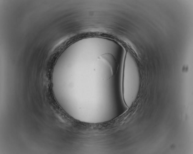 X0000094461064200711081054