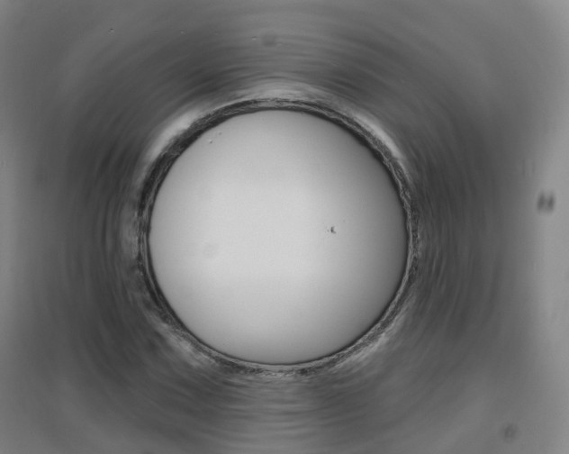 X0000094461067200711081054