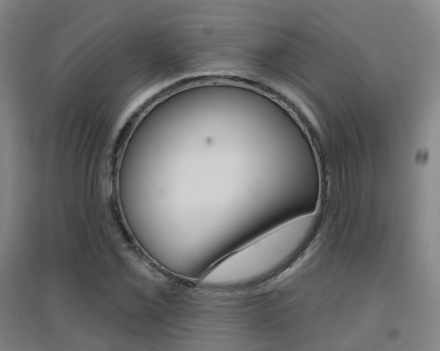 X0000094461069200711081053