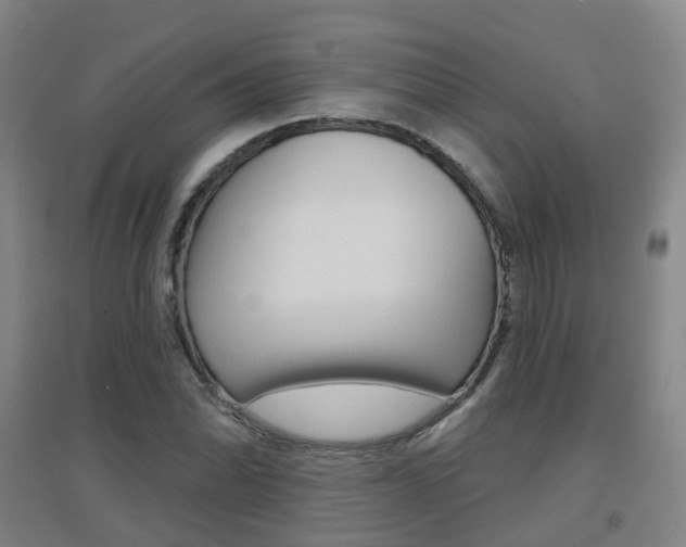 X0000094461070200711081053