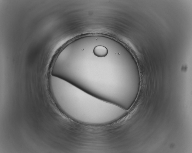 X0000094461071200711081053