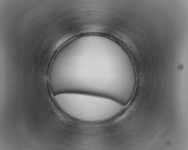 X0000094461073200711081053