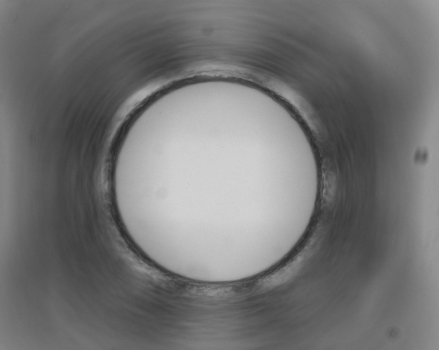 X0000094461074200711081053