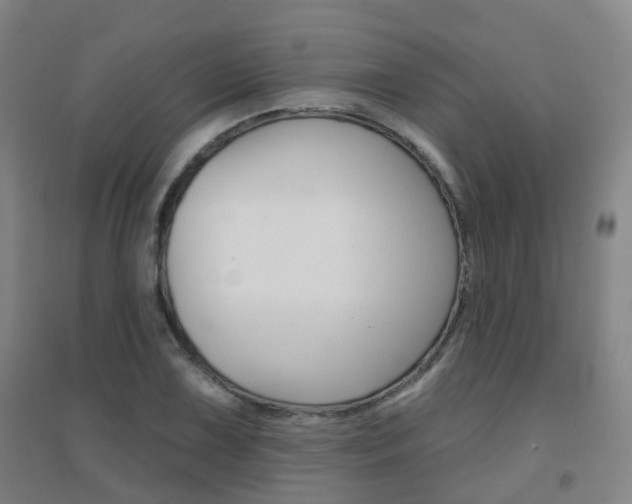 X0000094461075200711081053