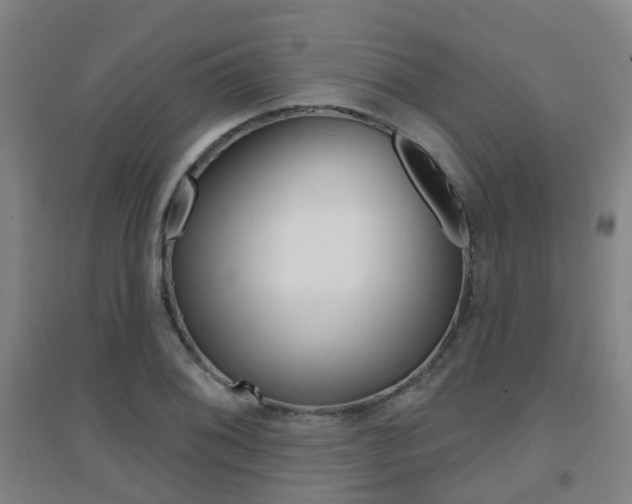 X0000094461076200711081053