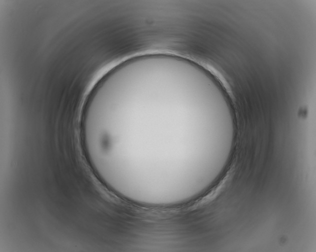 X0000094461077200711081053